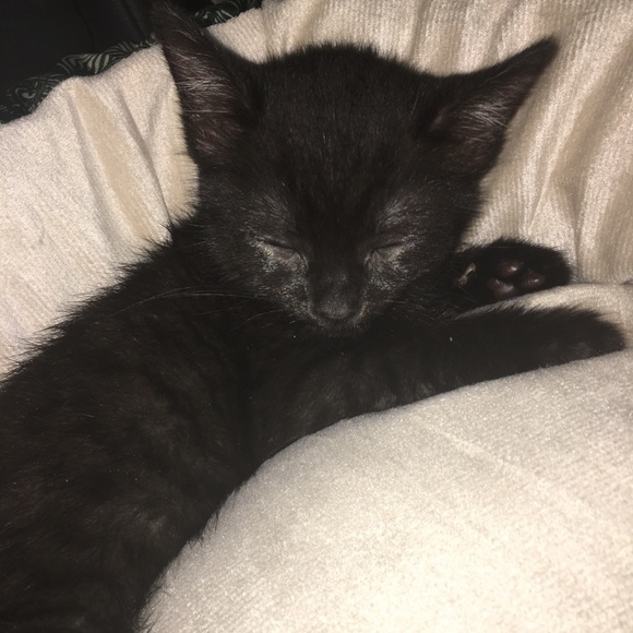 What is everyone looking for?!! - Picture 1 of 1